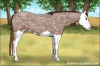 Horse Color:Red Ice Roan Splash