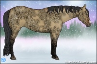 Horse Color:Bay Ice Dun 