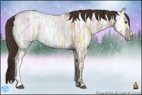 Horse Color:Liver Red Dun Ice 