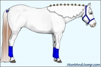 Horse Color:Grullo Blanket 