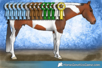 Horse Color:Brown Tobiano