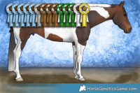 Horse Color:Brown Tobiano 