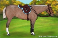 Horse Color:Silver Bay Roan 