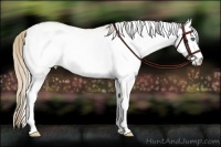 Horse Color:White Spotted Smoky Creme Rabicano