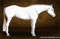 Horse Color:Bay Splash Tobiano Varnish  Brindle