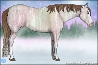 Horse Color:Grullo Ice Pearl Splash 