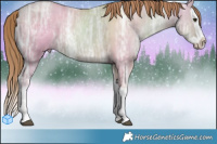 Horse Color:Grullo Ice Pearl Splash 