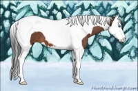 Horse Color:Bay Roan Splash Tobiano 