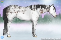 Horse Color:White Spotted Brown Ice Splash 