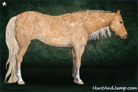 Horse Color:Palomino Ice 
