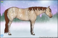 Horse Color:Red Dun Ice 