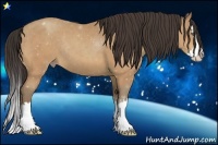 Horse Color:Amber Champagne Sabino Splash Rabicano