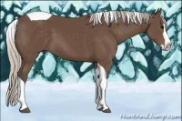 Horse Color:Silver Black Splash Tobiano 