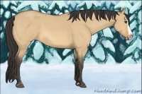 Horse Color:Buckskin Roan Dun Splash