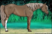 Horse Color:Chocolate Palomino 