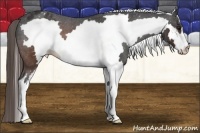 Horse Color:White Spotted Brown Frame Varnish