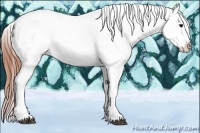 Horse Color:Bay Splash Tobiano Appaloosa