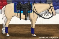 Horse Color:Silver Amber Cream Champagne 