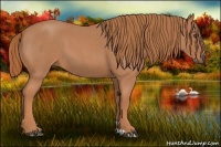 Horse Color:Red Roan
