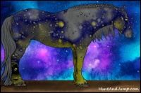 Horse Color:ERROR: UNKNOWN ANOMALY Brindle