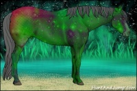Horse Color:ERROR: UNKNOWN ANOMALY Brindle