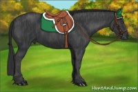 Horse Color:Black  Brindle