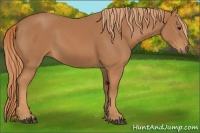 Horse Color:Chestnut Frame