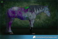 Horse Color:ERROR: UNKNOWN ANOMALY
