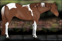 Horse Color:Chestnut Tobiano