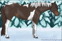 Horse Color:Liver Chestnut Tobiano 