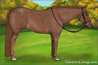 Horse Color:Red Roan Frame 