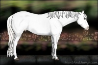 Horse Color:Silver Smoky Black Tobiano Appaloosa