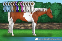 Horse Color:Silver Brown Tobiano 