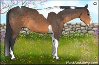 Horse Color:Buckskin Sabino Splash Tobiano Rabicano 