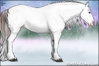 Horse Color:Brown Ice Appaloosa Rabicano 