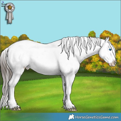 Horse Color:White Spotted Brown Ice Frame Appaloosa Rabicano 
