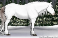 Horse Color:White Spotted Brown Ice Frame Varnish 
