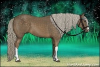 Horse Color:Chocolate Palomino Frame 