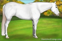 Horse Color:Brown Ice Pearl Snowcap Rabicano 