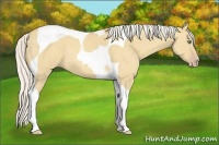 Horse Color:Silver Classic Cream Champagne Dun Tobiano 