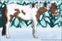 Horse Color:Bay Roan Tobiano Frame 