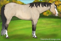 Horse Color:Bay Roan Dun Splash