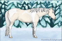Horse Color:Silver Perlino Dun Tobiano 