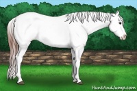 Horse Color:Bay Tobiano Frame Appaloosa Rabicano
