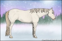 Horse Color:Smoky Creme Roan Dun 