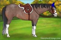 Horse Color:Bay Roan Splash