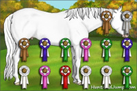 Horse Color:Gray Silver Smoky Creme Roan Dun Splash