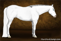 Horse Color:Gray Perlino Dun Splash