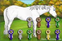Horse Color:Gray Perlino Splash 