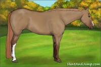 Horse Color:Red Dun